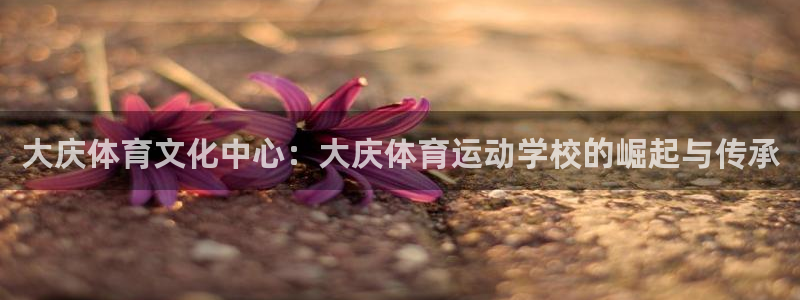 3377体育官方正版app五金厂:大庆体育文化中心:大庆体育